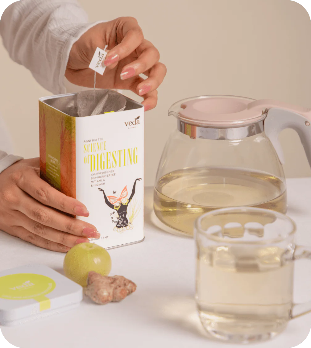 SCIENCE OF Digesting Ayurvedischer Bio-Kräutertee